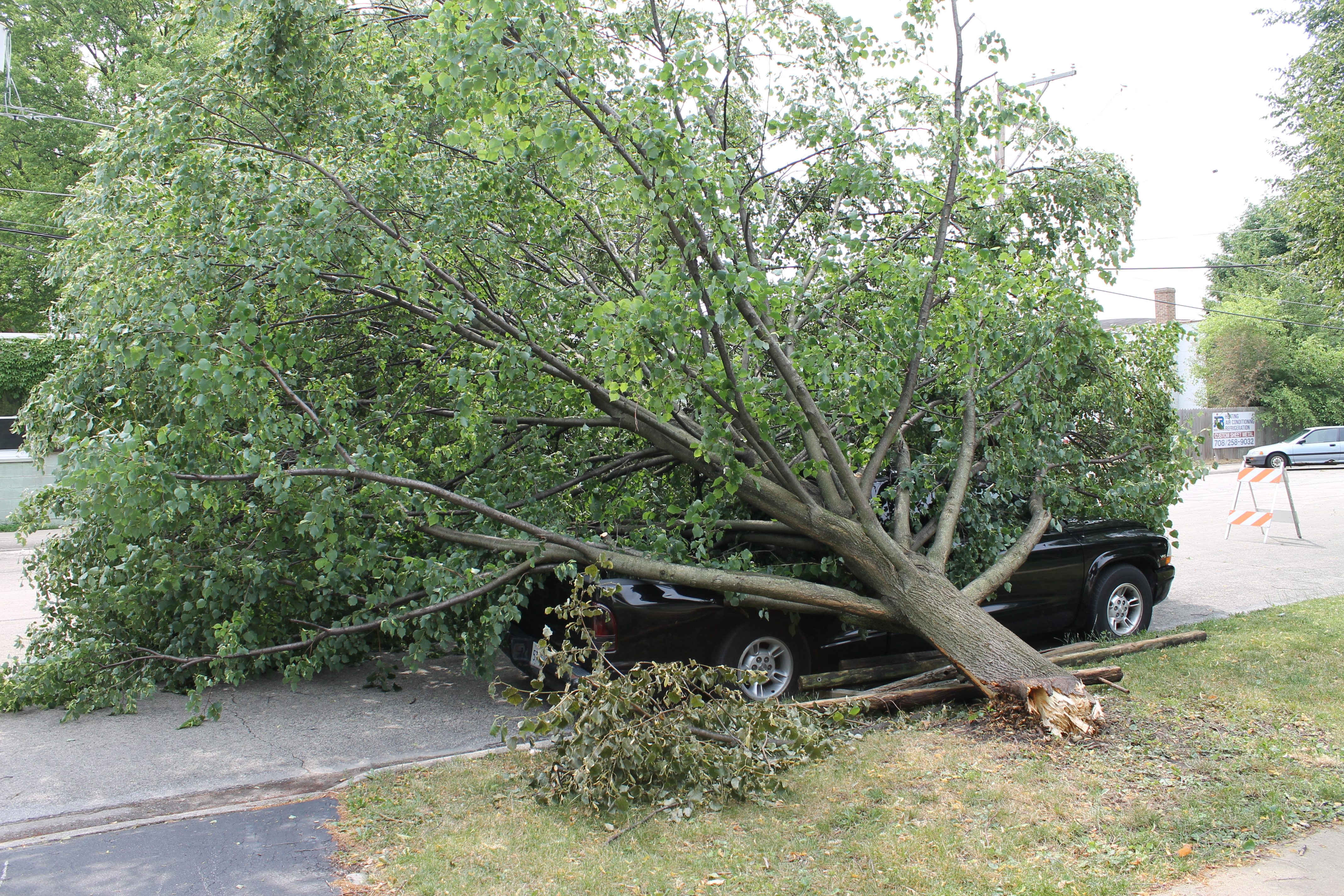 Tree blown on to small truck. Just north of Main st. on 1st street in Peotone.  Photo by Dave Sommerfeld